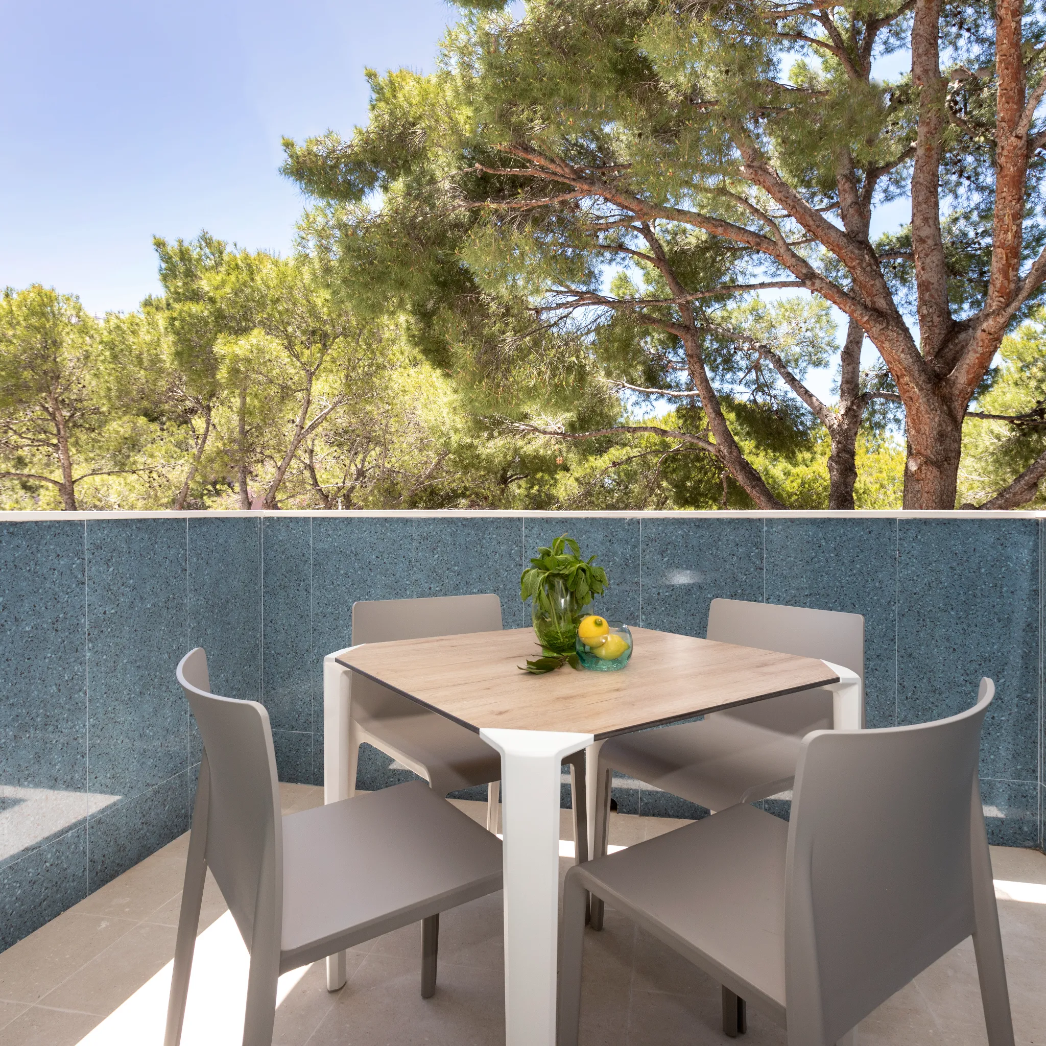 terraza
